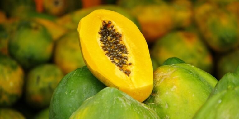 Papaya the super fruit for healthy life